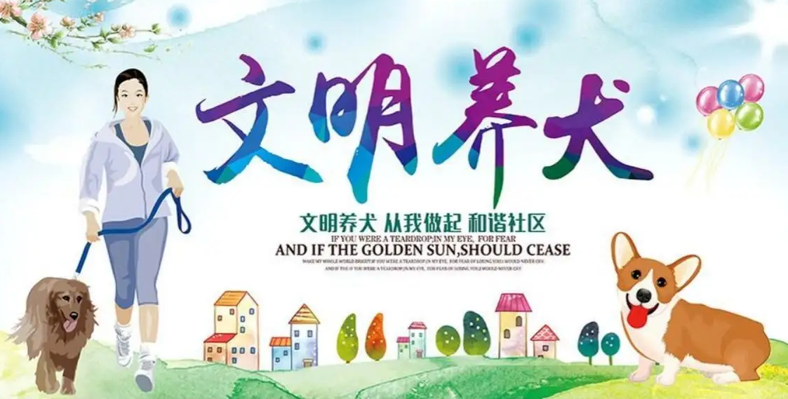 文明养狗倡议书作文600字怎么写