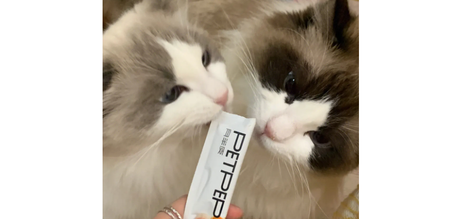 乐派多猫条好吗
