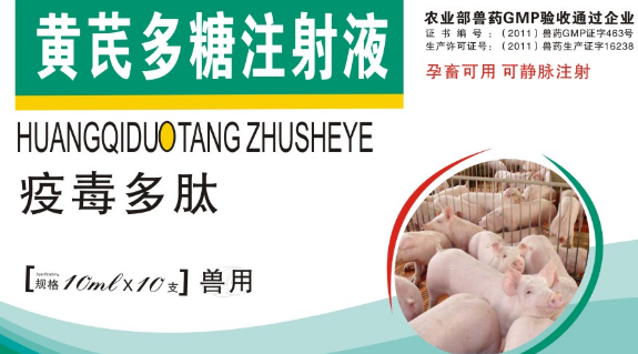 实验用黄芪多糖 哪里可以买到?