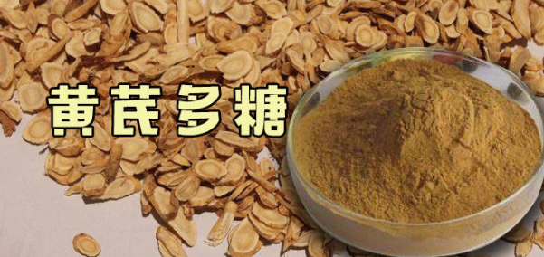 黄芪多糖可以长期喂鸡吗