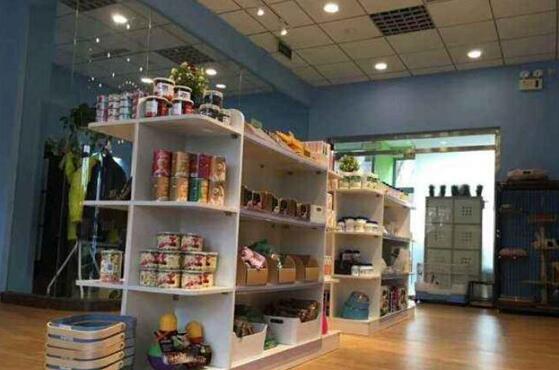 开宠物店需要具备哪些条件 开宠物店需要具备哪些条件