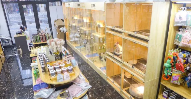 宠物店加盟连锁怎么样 宠物店加盟连锁怎么样