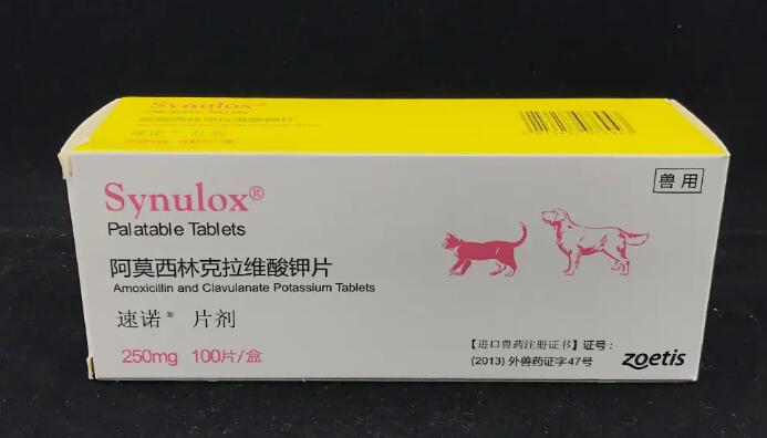 速诺和阿莫西林区别
