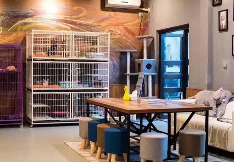 开一家宠物店大概需要投资多少钱 开一家宠物店大概需要投资多少钱