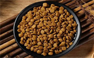 如何在淘宝买狗粮