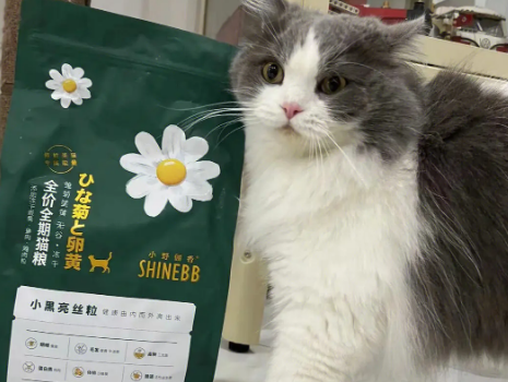 小野俪香猫粮是畅享公司的吗