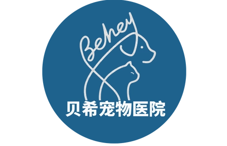 贝希宠物医院怎么样 贝希宠物医院怎么样
