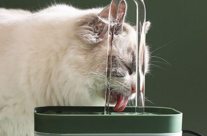 猫咪流动饮水机费电吗