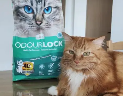 猫砂篇|ODORLOCK 晶乐客猫砂 猫砂篇|ODORLOCK 晶乐客猫砂