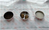 泰迪坐月子食谱