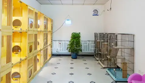深圳宠物店寄养多少钱 深圳宠物店寄养多少钱