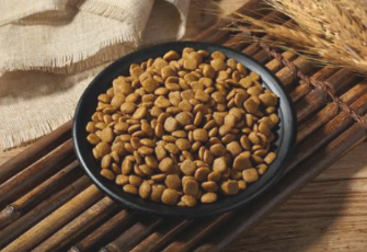 小狗不要吃狗粮饿四天了