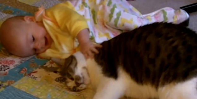 猫咪突然冲宝宝伸出爪子，女子觉得有些不安，随后却直言太暖心了