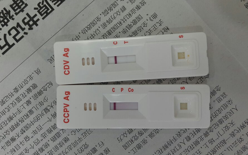 细小试纸检测准确吗 细小试纸检测准确吗
