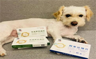 幼犬第一次驱虫用什么药最好