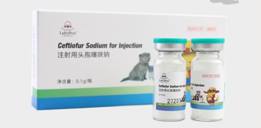 头孢噻呋钠给狗用的用量方法