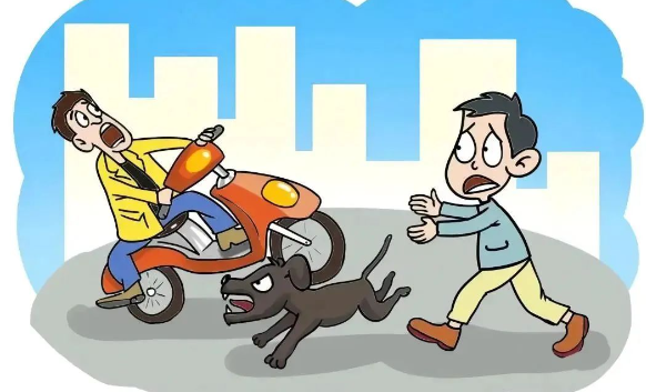 宠物犬撞翻电动车致人伤残