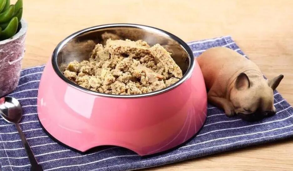 狗粮如何入手比较好