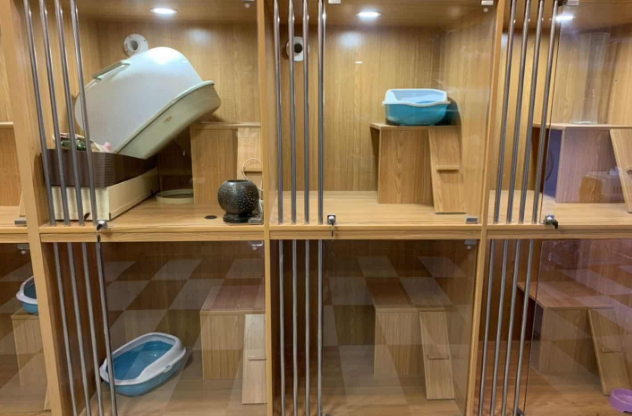 加盟宠物店需要注意些什么