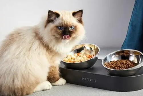 犬瘟狗用过的碗可以给猫用吗