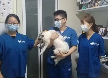 宠物医院的工作人员叫什么名字