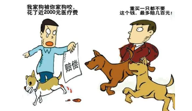 狗咬狗最详细的赔偿-宠物网
