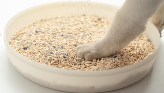 帕蓝姆猫砂如何 帕蓝姆猫砂如何