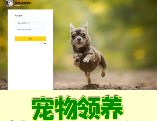 宠物免费领养平台