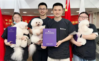 开宠物美容店需要什么证