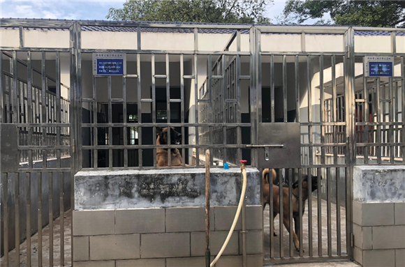 湖北哪里有犬舍基地