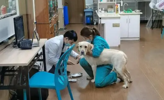 开一家宠物医院需要什么器材