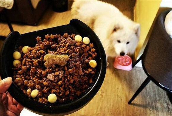 狗粮是什么东西？