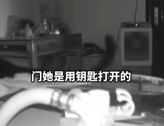 女子私闯房屋被狗咬伤后让业主负责 女子私闯房屋被狗咬伤后让业主负责