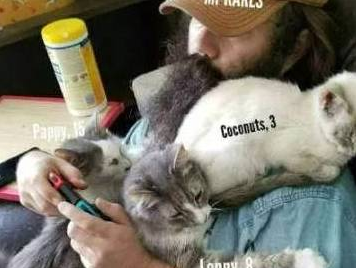 这哥们的猫太多了，为了防止记不住，照片上都得标注猫姓名和年龄