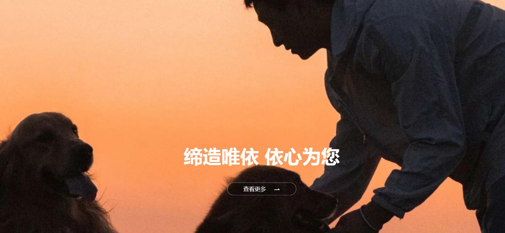 依依股份公司简介 依依股份公司简介
