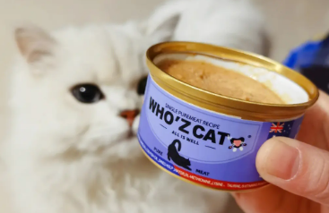 猫咪为什么闻罐头香香的啊