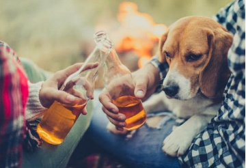 狗狗可以喝酒吗
