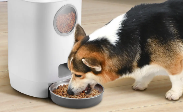 pawise喂食器测评