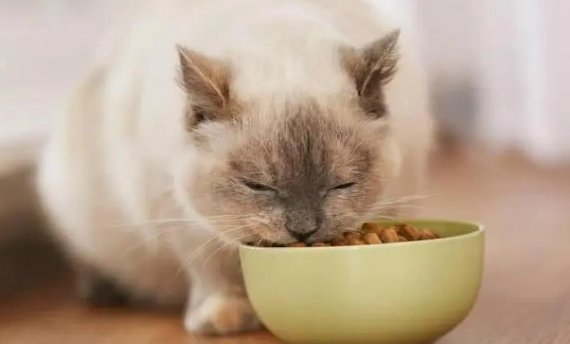 亚美嘉猫粮好不好 亚美嘉猫粮好不好