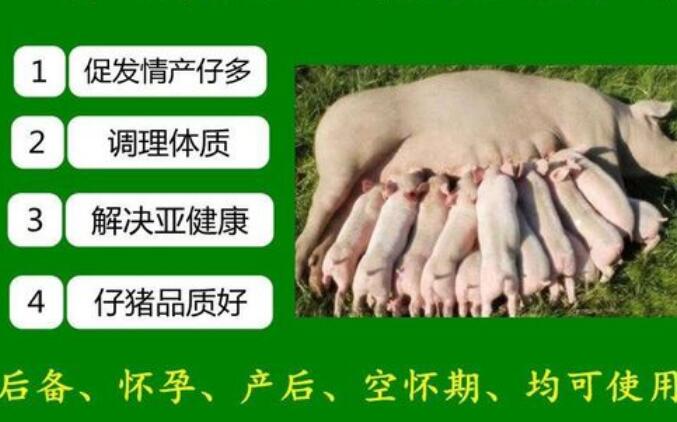 华康兽药多仔宝功效 华康兽药多仔宝功效