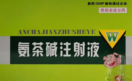 氨茶碱主要治什么病