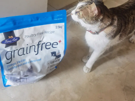fussy cat是什么品牌 fussy cat是什么品牌