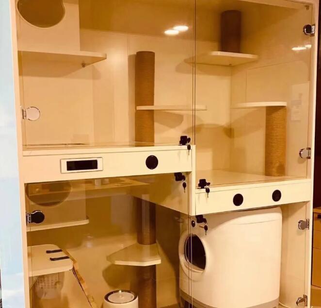 成都寄养宠物多少钱一天