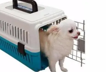 宠物托运必须要检疫吗