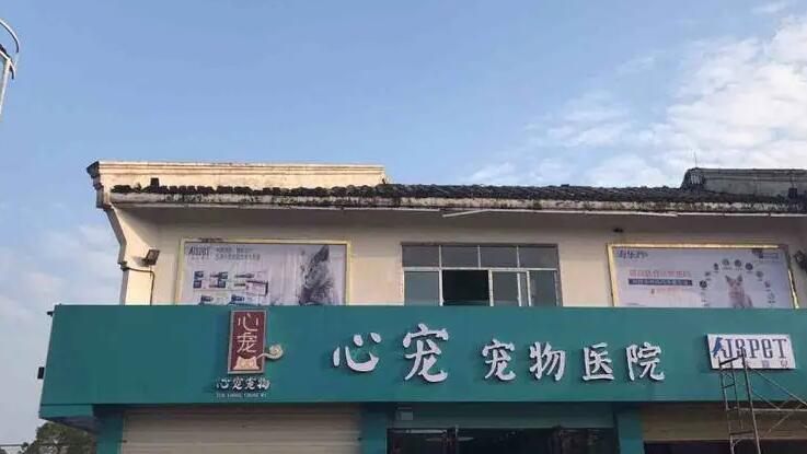 心宠宠物怎么样