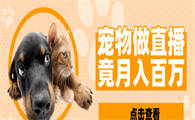 网红经纪人的骗局