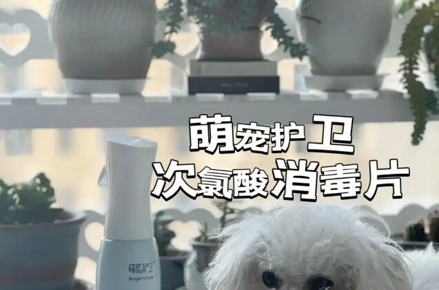萌宠护卫消毒剂使用方法