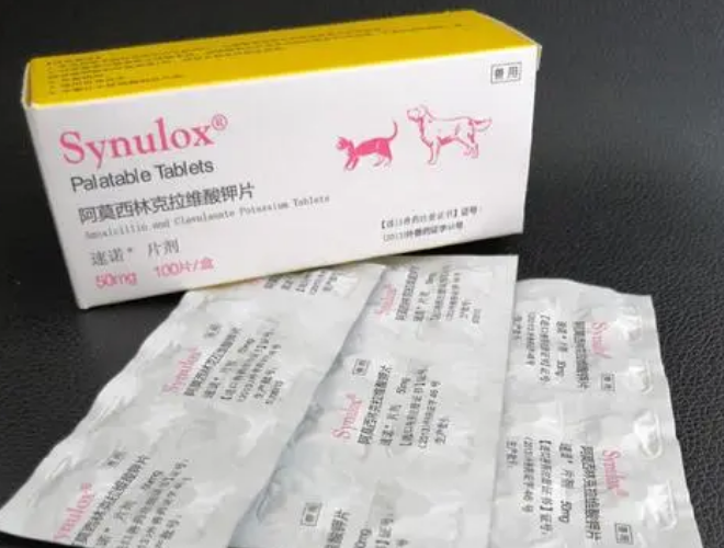 速诺片猫咪一次吃多少-宠物网