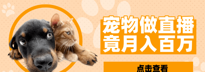 网红经纪人的骗局