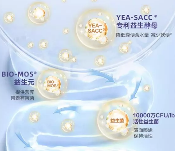 畅销北美，获奖无数的美国老牌宠粮新萃来啦~